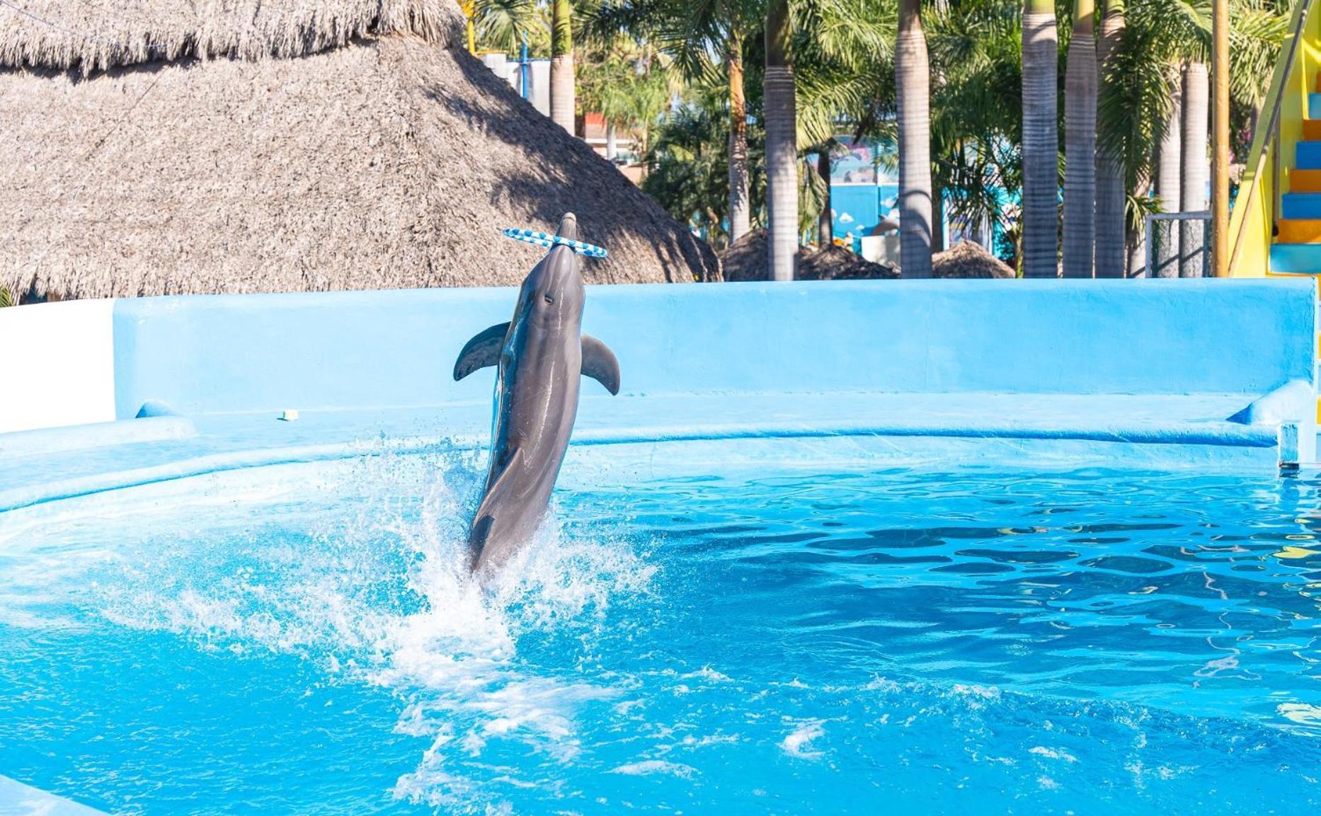 Splash Inn Nuevo Vallarta & Parque Acuatico Exteriör bild